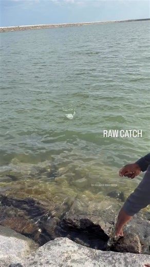 RAW_CATCH on Instagram: "Unbelievable fishing moments"