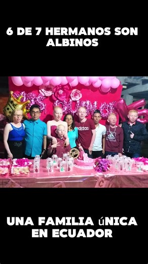 Una familia única: 6 hermanos albinos en Ecuador