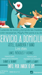 El baño  debe ser un momento relajante para todos, en Playful Pet nos encargamos de que así sea. Libre de estrés para que regrese a casa relajado . Contamos con servicio a domicilio con las medidas de Prevencion necesarias (vamos por el y te lo regresamos). contamos con promoción al contratar guardería y baño  #PlayfulPetMid #AmamosLoQueAmas #PlayfulpetSmall. | Playful Pet | Facebook