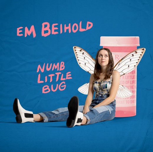 "Numb Little Bug" by Em Beihold - Song Meanings and Facts