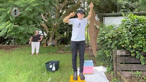 Did you know the queen has her diet restricted before the swarm departs the hive? 🐝 To make sure the queen is fit enough to make the flight to the new homesite, she slimmed down by her attendants | Hinterland Bees