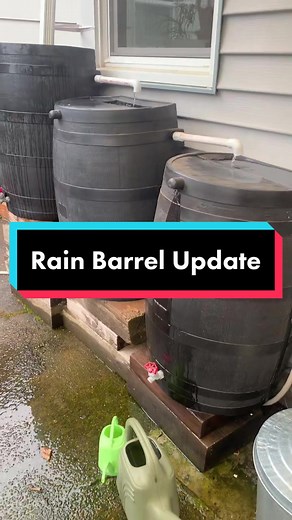 Troubleshooting Rain Barrel Overflow Issues