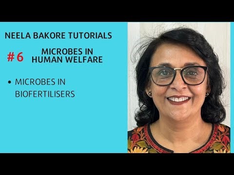 Microbes in Human Welfare | Microbes in Biofertilisers | NEET and Boards | Neela Bakore Tutorials