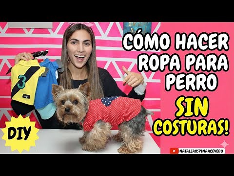 HOW TO MAKE DOG CLOTHING - DIY - PETS