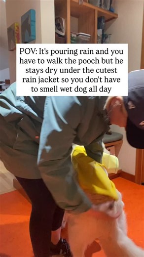 Dog owners you need THIS 👇🏻 I got Gus a new rain jacket - this one was recommended by Wirecutter. I’ve tried mutiple rain jackets over the years and they all were prone to shift and expose parts of his rear and back. It’s VERy important that it’s secure on his body because no one wants to smell wet retriever all day. I think this one’s a keeper! Comes in several colors but I like yellow for safety 🥰 🐶 FYI Gus is a 70lb retriever and is wearing a size Large 👍🏻 Comment GUS and I’ll send you 