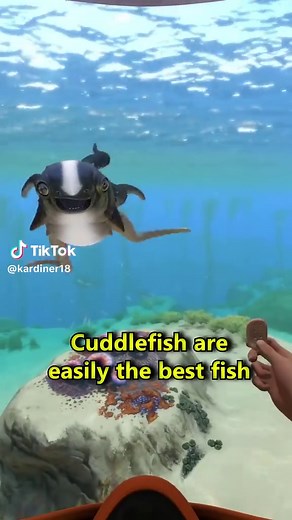 How To Get ALL 5 Cuddlefish in Subnautica #subnautica #subnauticaclips #guide #howto #fyp