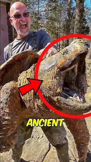 Top 3 ANCIENT Animals Still Alive Today