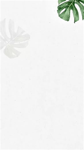 Meet Madison: Your Guide to Amazing Animal Friends