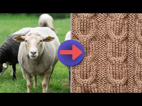 Wool Harvesting, Wool Production and Processing. From Sheep Shearing to Fabric Factory Production