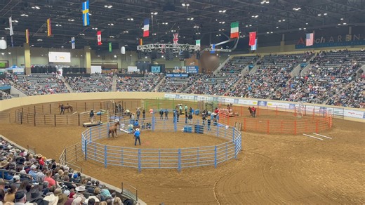 The Road to the Horse 2024 World Championship of Colt Starting Round 1 has officially begun! We are excited to see competitors Ken McNabb, Tik Maynard, Donal Hancock and C.D. Wilcox work with these colts over the next two days. | Western Horseman