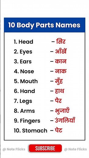 10 Body Parts Name in English and Hindi | Human Body Parts Name | Body Parts Name