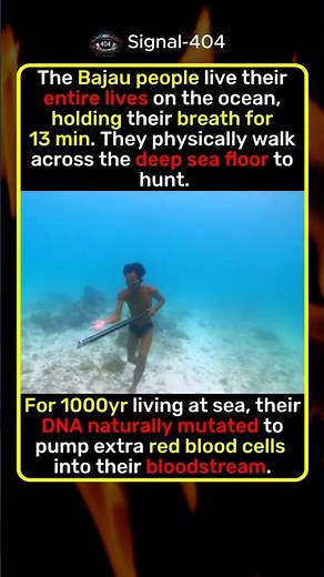 Real Aquatic Humans(13-Minute Breath Hold) 🌊