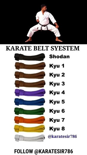 KARATE BELT SYSTEM 1 TO 10 #karatesir786 #karate #karatetraining