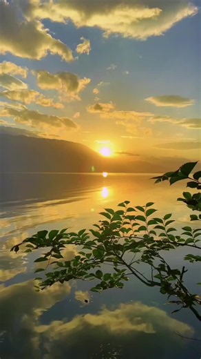 salmos para dormir tranquilo esta noche #tranquilidad #Reflexiones | salmo