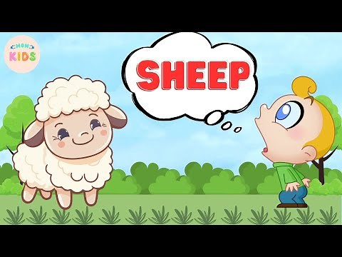 Sheep Facts For Kids 🐑 Learn All About Sheeps | MON Kids