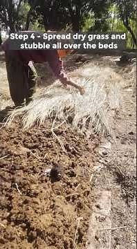 The Process of Making Vermicompost
