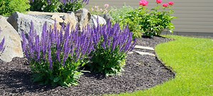 Lawn Landscaping Basics | DoItYourself.com