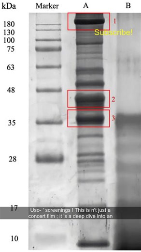 IDOLS Go ANIME! LDH Japan's Battle of Tokyo BLURS REALITY with INSANE New Animation! Ever wondered if your favorite idol group could secretly be fighting battles in a parallel dimension? Well, LDH Japan's ambitious Battle of Tokyo project is making that dream a reality, recently dropping stunning new animation sequences for their upcoming 'Live in Theater: Battle of Tokyo -Utsukushiki Uso-' screenings! This isn't just a concert film; it's a deep dive into an elaborate mixed-reality universe wher