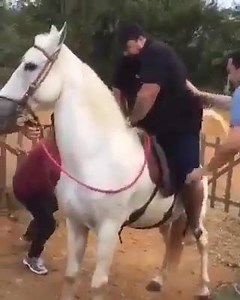 2.7K views · 15 reactions | Wait And Full Watch.... Very Funny | Funz.pk | Facebook