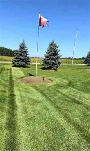 Striped lawn perfection Ferris mower Z3X in action