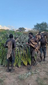 8.1M views · 93K reactions | Hadzabe tribe bushmen love singing and dancing to their traditional bush music, it is their only form of entertainment and they do it at the end of each day as a gratitude to nature for giving them everything they need | Beautiful Daily Adventures | Facebook