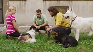 Návrat za minulými případy - Kočka není pes | Česká televize