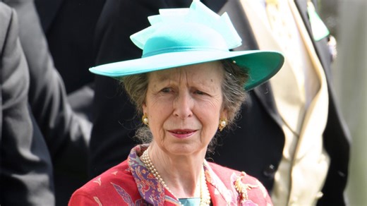 Princess Anne Experiencing Memory Loss After Horse Riding Accident (Source)