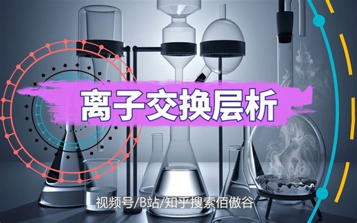 【科普】离子交换层析