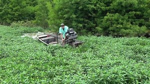 6.5K views · 150 reactions | Go back | Pro-Drive Outboards | Facebook