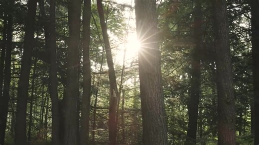 From powering camping trips to tiny homes or remote workspaces, Goal Zero AU/NZ offers high-quality, sustainable solutions for all your portable power needs ⛺️⚡️🔋 Shop our EOFY sale for price reduced bundles and free shipping - https://bit.ly/3VopXfw #GoalZero #EOFYsale #SolarPower #PortablePower #AdventureReady #SustainableLiving #TinyHomeLiving #WorkFromAnywhere | My Generator