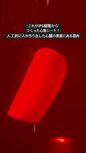 【8秒の知見】iPS細胞から作った心筋シート|大阪・関西万博のパソナ館