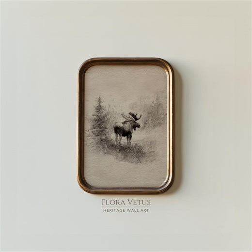 Moose Drawing Print: Vintage Animal Sketch, Rustic Cabin Wall Decor (digital Download) - Etsy