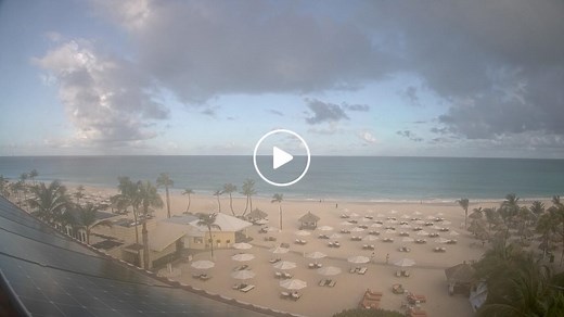 Bucuti Beach Cams - Eagle Beach