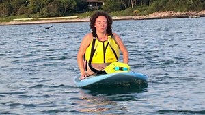 Paddleboarders Encounter Rare Great White Shark in Cape Cod