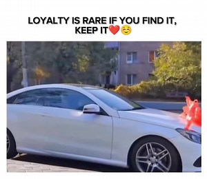 81K views · 7.1K reactions | ST on Reels | Facebook