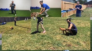 Want to see what's inside the Complete Guide to Tugging? 👀 Here's your sneak peek! Register today for: ✅ Structured Training: Tugging is not a single behavior. We will walk you through the five aspects of tugging: the chase, the bite, the fight, the release, and the retrieve. ✅ Powerful Video: 39 videos that show actual training and demonstrations of technique, with clear explanations–2.5 total hours of video organized into structured modules and lessons. ✅ Personal Feedback (optional): Need mo