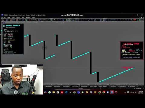 Prime Spike Installation Tutorial