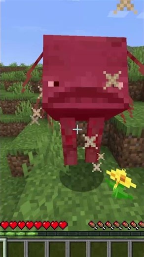 WHY do they drop String?