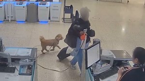 Frau lässt Hund am Flughafen Las Vegas zurück – Festnahme