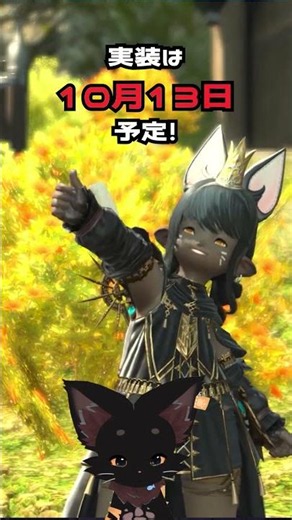 【FF14🆕】日本DCの壁がなくなる！？リージョン内フリーマッチングを簡単解説！😺✨