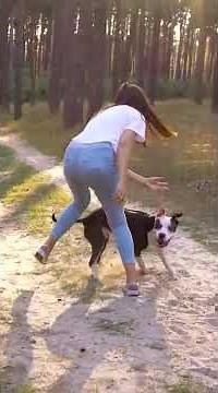 Why Dogs Hump? | Safe & Effective Solutions by Vet 🐶