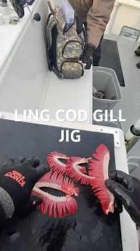 How to make a Ling Cod JIG with Ling Cod Gills #fishing #saltlife #shorts #sea #howto