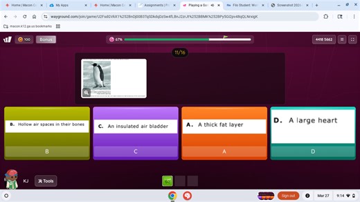 The image shows a penguin. The question asks: "What structural ... | Filo