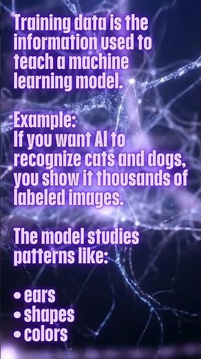 Training Data Explained Machine Learning Basics