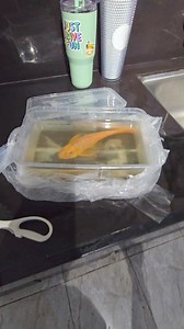 Janitor fish o flying fish? 🐟 #ginulatako #fishcanfly #albinopleco #JanitorFish #monsterfish #aquarium #aquafranz #kahobby #aquariumhobby #HappyFishKeeping | AquaFranz