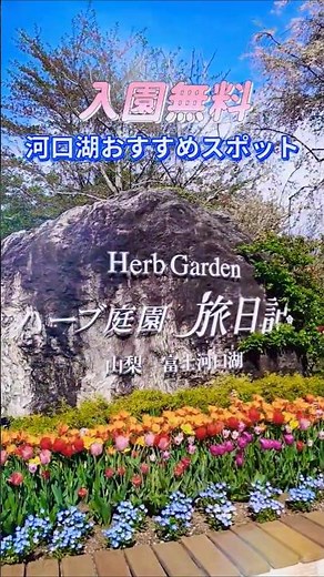 【河口湖おすすめスポット】ハーブ庭園 旅日記 富士河口湖庭園 #ハーブ庭園 #河口湖 #花 #flowers #観光 #garden