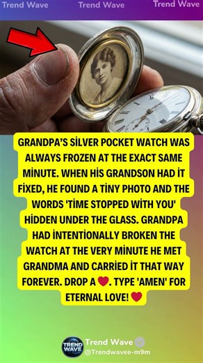 The Pocket Watch's Frozen Hand