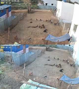 truview Linkage 20-11-25