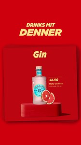 ⭐🍸DRINKS MIT DENNER🍹⭐ | Denner