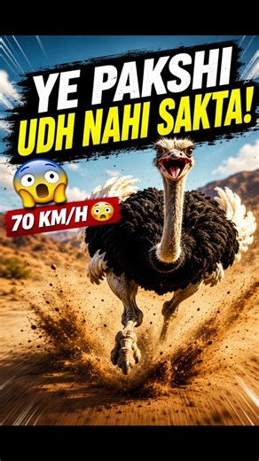The Fastest Bird That Can’t Fly #facts #viral #shorts